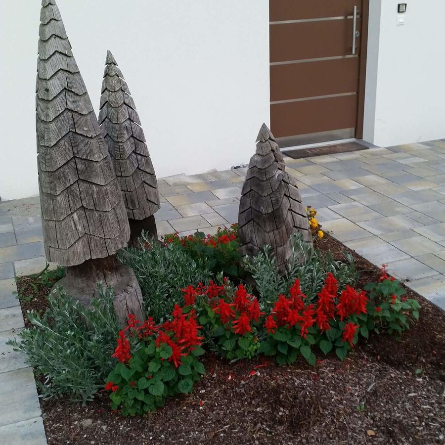 הוילה Strigno Masetto Egidio Eco-Agritur מראה חיצוני תמונה