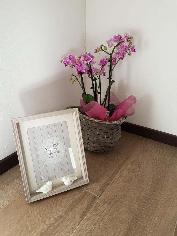 הוילה Strigno Masetto Egidio Eco-Agritur מראה חיצוני תמונה