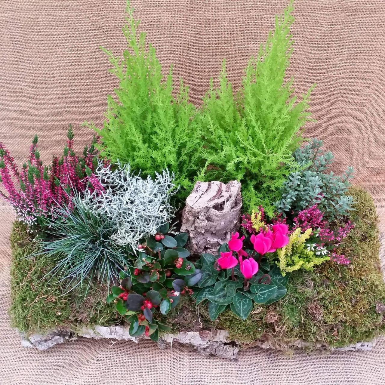 הוילה Strigno Masetto Egidio Eco-Agritur מראה חיצוני תמונה